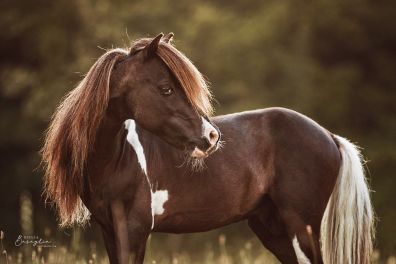 71C31531-DD96-4BEE-B006-5A17CD6355F3