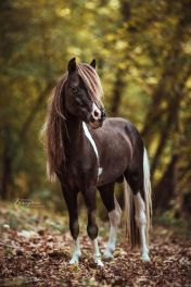 C681E756-96EC-4B86-9411-BADB537F550D